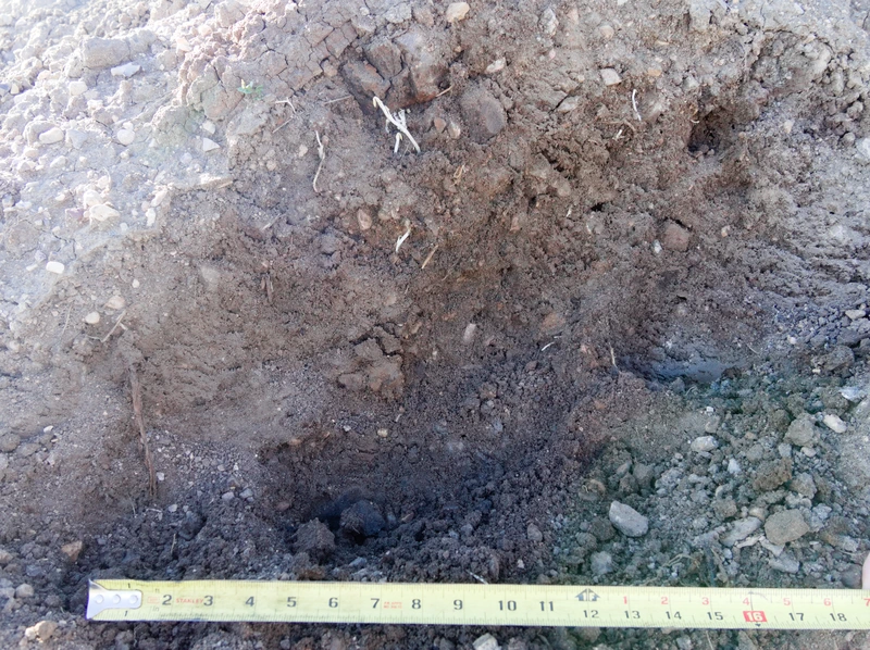Topsoil